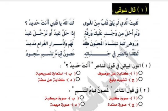 مراجعات نهائية