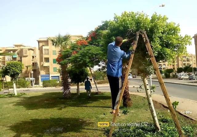 النجار: جهاز مدينة ٦ أكتوبر يعلن عن أهم أعمال الزراعة فى الأحياء .. بالصور