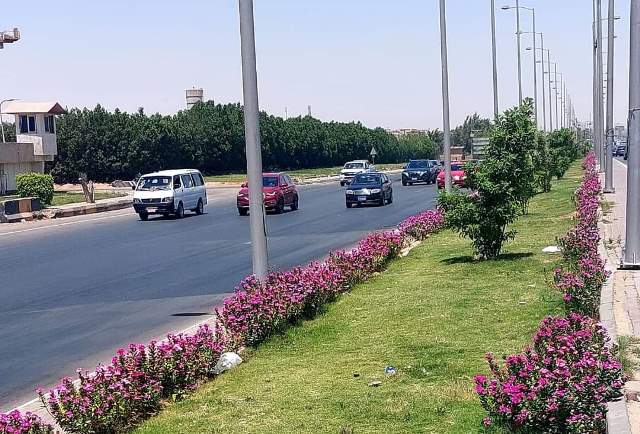 النجار: جهاز مدينة ٦ أكتوبر يعلن عن أهم أعمال الزراعة فى الأحياء .. بالصور