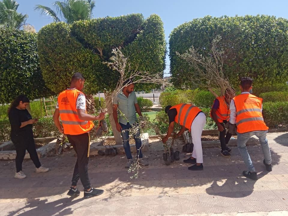 حملة غرس أشجار وجمع نفايات وندوات توعوية بسفاجا 