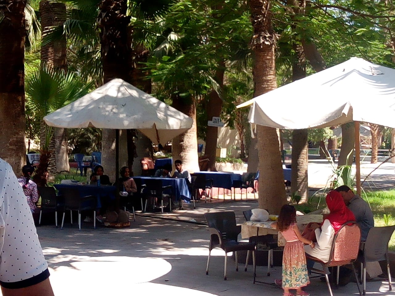 المواطنون يقضون إجازة عيد الأضحى المبارك في حديقة الأسماك بالزمالك 