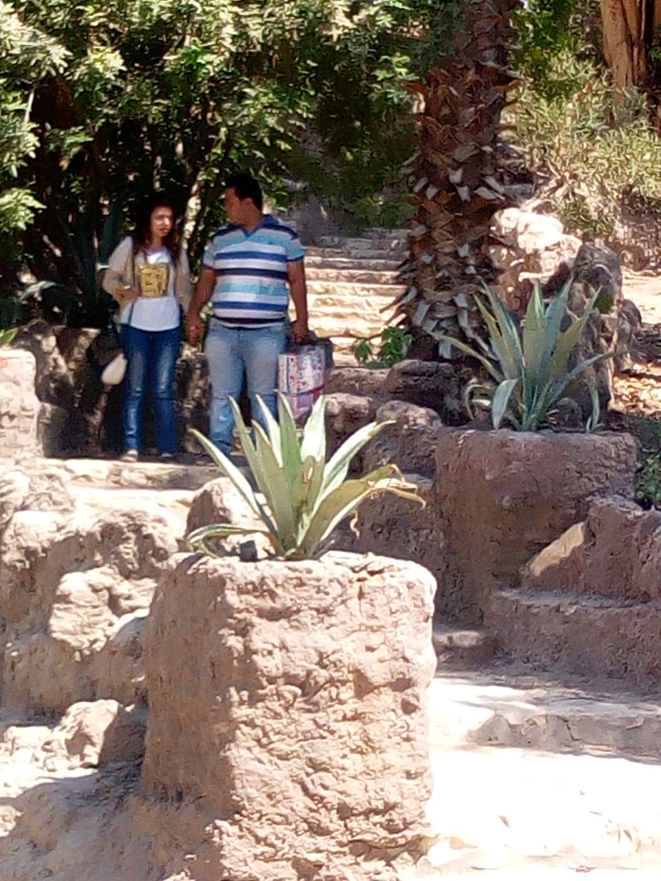 المواطنون يقضون إجازة عيد الأضحى المبارك في حديقة الأسماك بالزمالك 