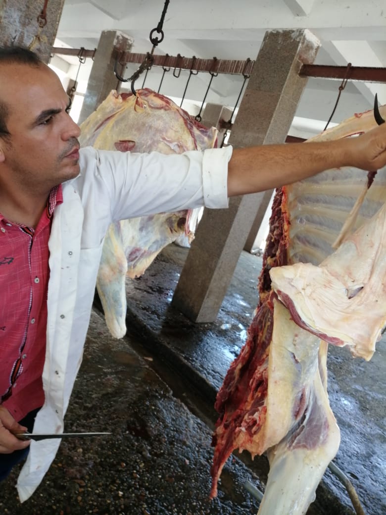 مجازر الزراعة تذبح ٣٨٢٤ اضحية في ثانى ايام العيد 