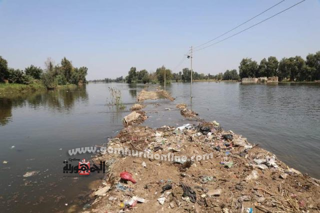 محافـظ المنوفية يتابع أعمال تمهيد الطريق المؤدى لجزيرة أبو نشابة بالسادات ويكلف بحصر كافة الزراعات والمنازل المضارة
