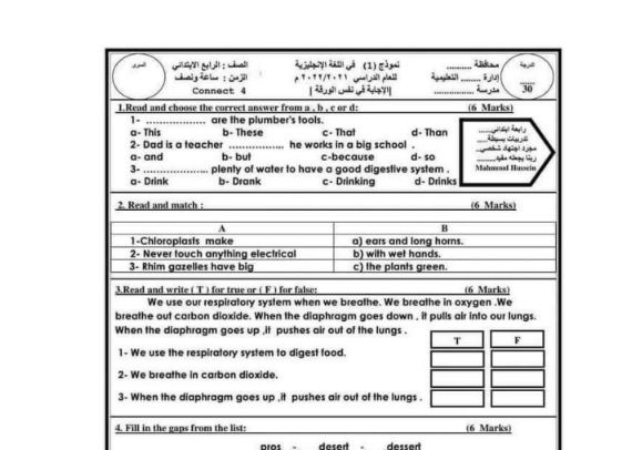 مراجعة نهائية
