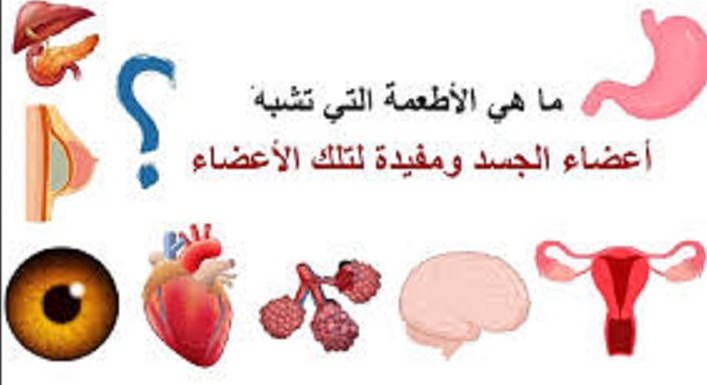 اطعمة تشبه اعضاء الجسم 