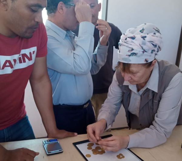 البعثة الروسية الأثرية بالفيوم تعثر على 28 دينارا ذهبيا فى منطقة دير البنات.. بالصور
