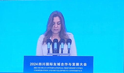 الدكتورة منال عوض وزيرة التنمية المحلية