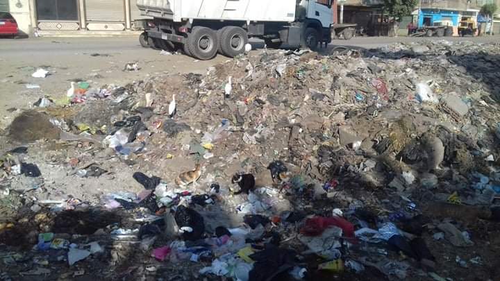 رفع المخلفات عن الطرق بالشرقية