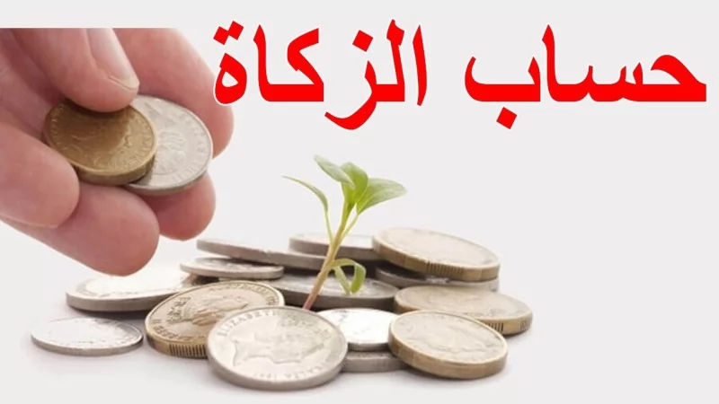 الحكم الشرعي لزكاة أموال وثائق التأمين وضوابط وجوبها 
