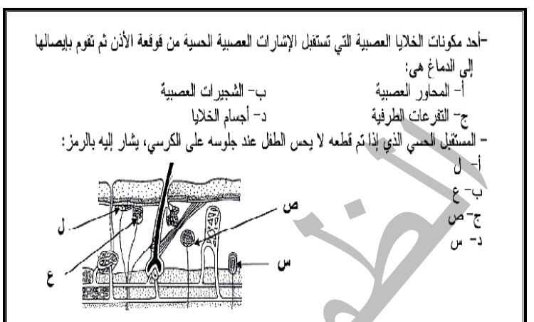 مراجعة نهائية