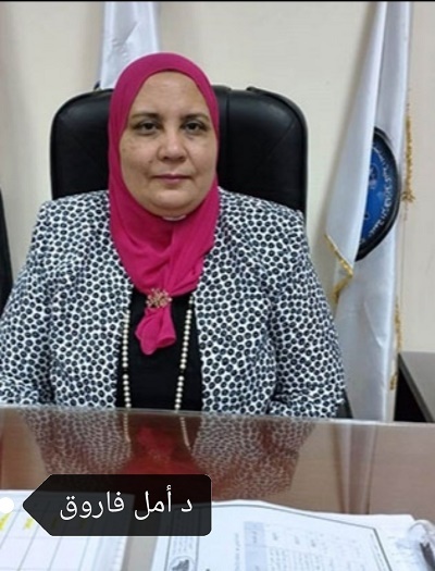 مصر الرقمية.. رؤية وطنية فريدة لمؤسس الجمهورية الجديدة