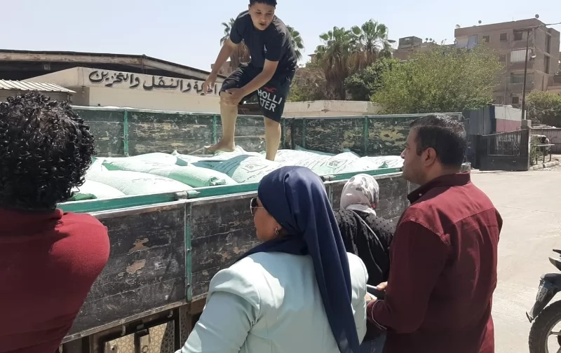 تموين القليوبية