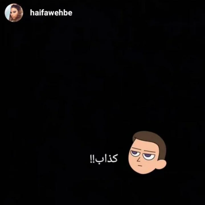 رد نارى من هيفاء وهبي عن تصريحات محمد وزيرى مع عمرو اديب.. صورة