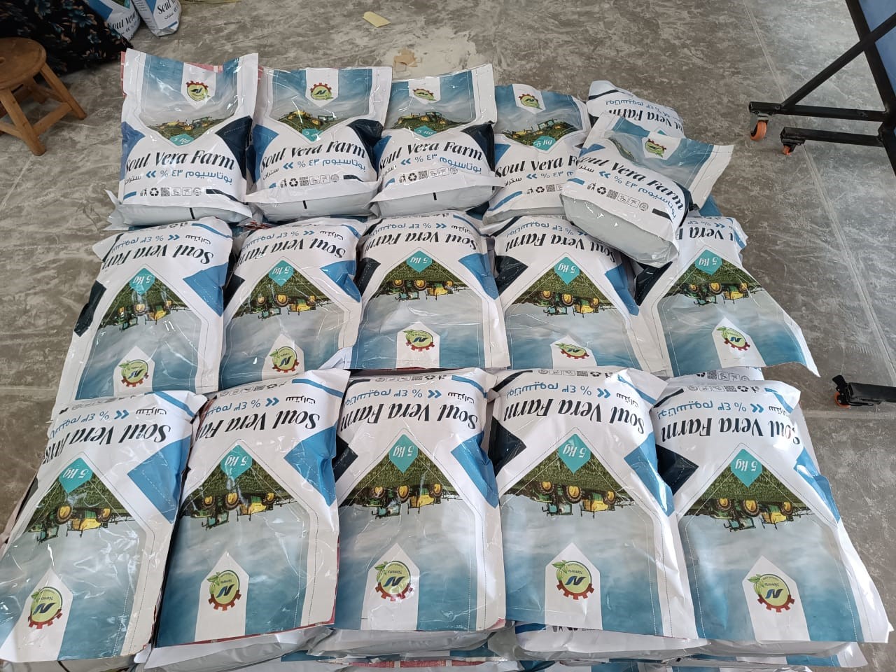 شباب بني سويف يحققون احلامهم بدعم جهاز تنمية المشروعات