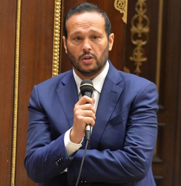  محمد حلاوة رئيس لجنة الصناعة بمجلس الشيوخ 