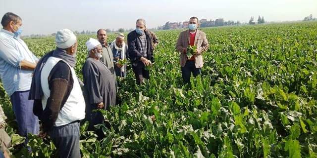 مدرسة حقلية إرشادية بـ 