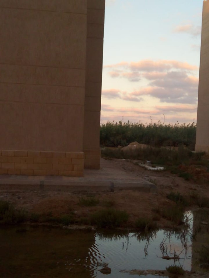 الإسكان الإجتماعى فى 