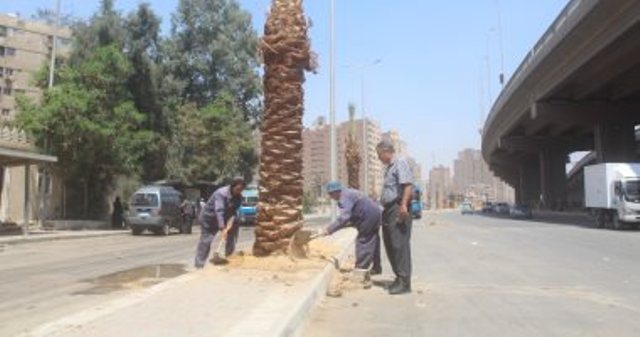 محافظة الجيزة ترفع 113 ألف طن مخلفات وقمامة خلال أسبوعين