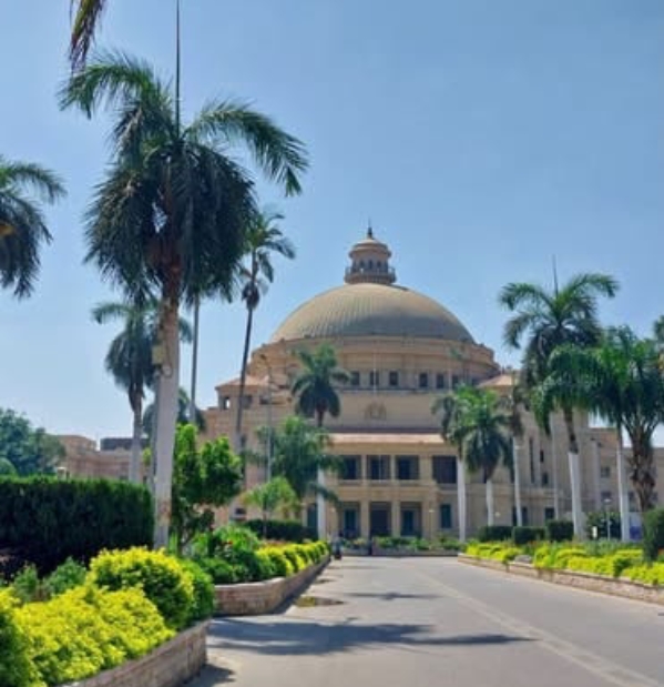 جامعة القاهرة 