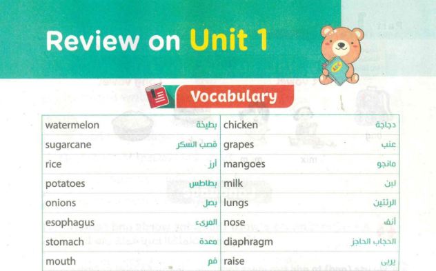 مراجعة نهائية