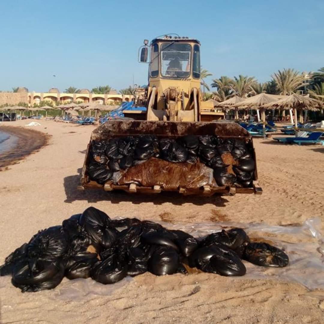 شفط ٤ طن زيت خام من شواطئ الغردقة 