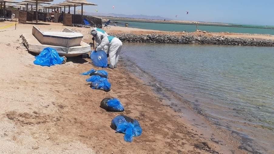 شفط ٤ طن زيت خام من شواطئ الغردقة 