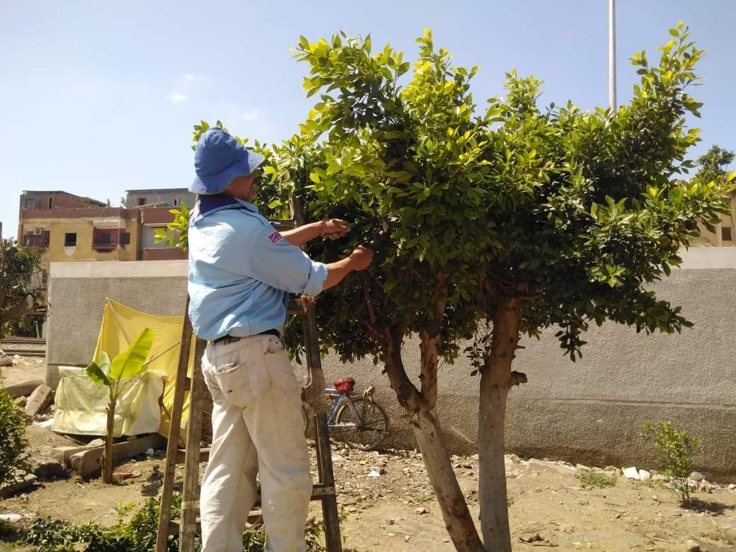 المشروع المجتمعي للحد من التغيرات المناخيه بمراكز شباب كفر الشيخ 