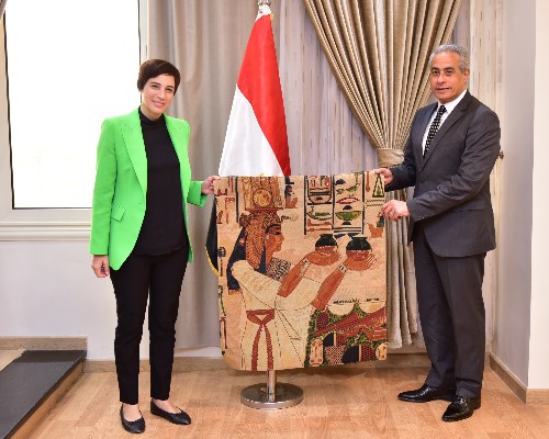 شحاتة: الدولة المصرية جاهزة بالعمالة المطلوبة لسوق العمل الخارجي