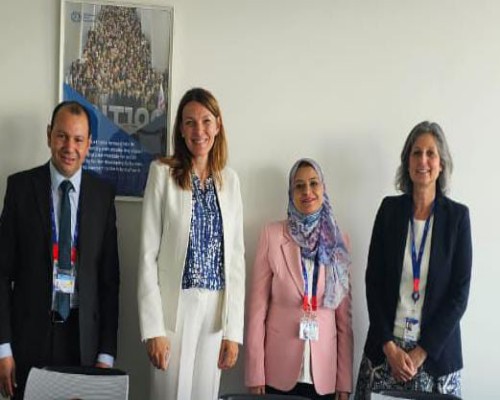 وزير العمل  حسن شحاتة