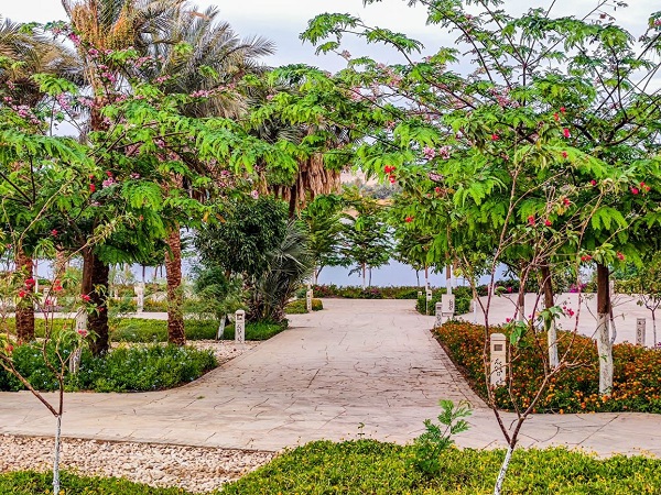 الحدائق