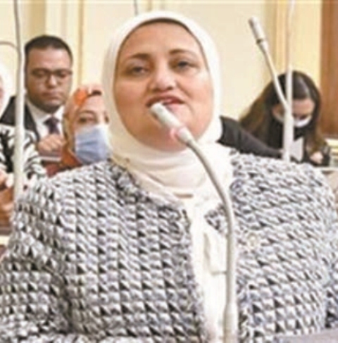 النائبة سناء السعيد