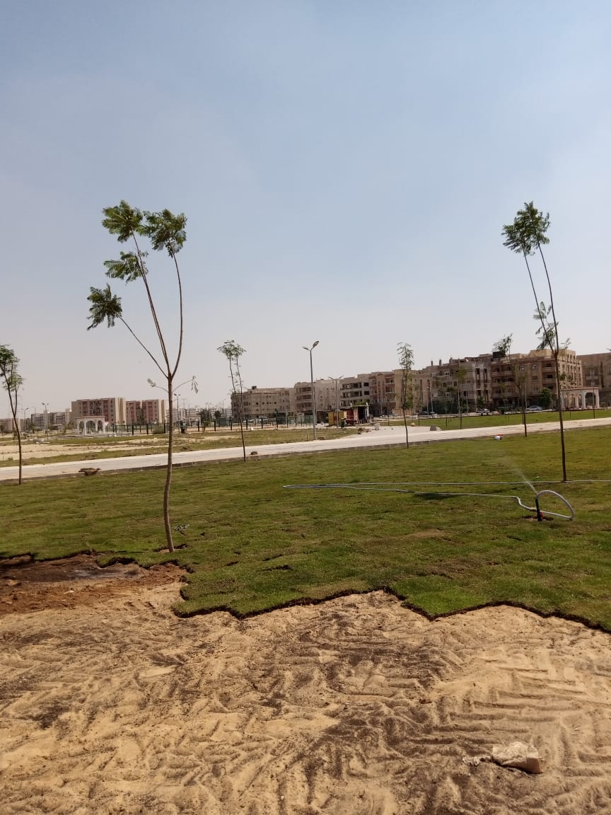 رئيس جهاز الشروق يكشف عن أحدث عمليات الزراعة والتشجير فى المدينة..صور