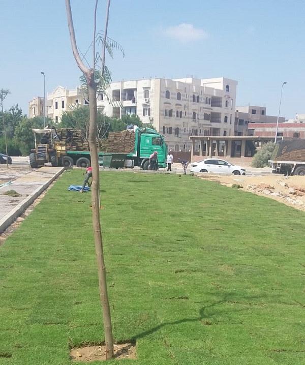 رئيس جهاز الشروق يكشف عن أحدث عمليات الزراعة والتشجير فى المدينة..صور