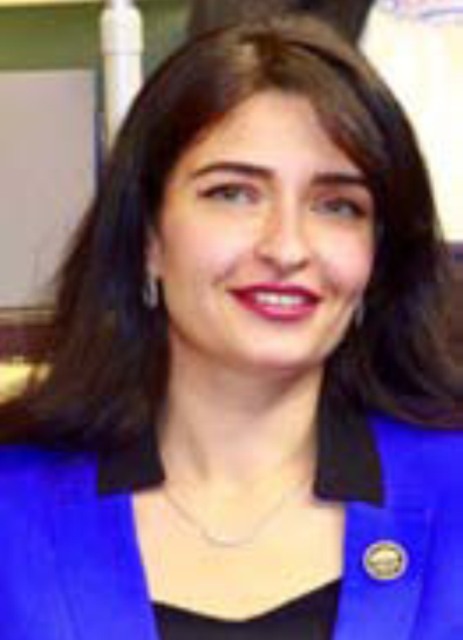 النائبة إيرين سعيد عضو مجلس النواب