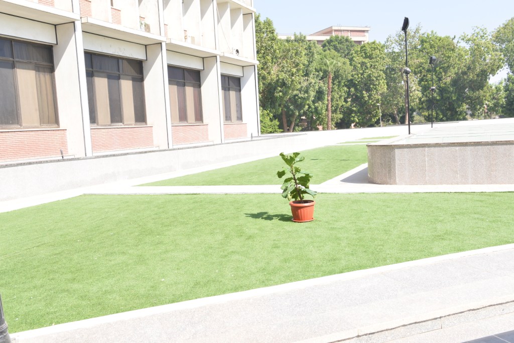  جامعة أسيوط تجرى أعمال تزيين وتجميل لمبناها الإداري
