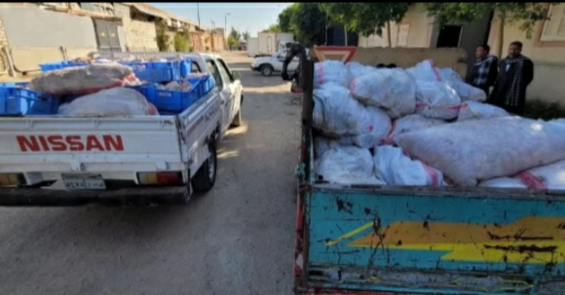 ضبط دواجن فاسدة بمجزر في أسيوط