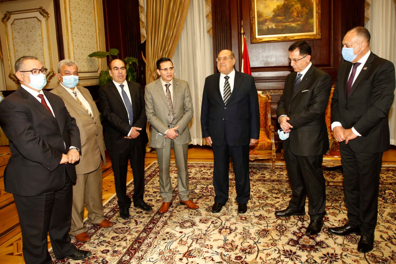 رئيس مجلس الشيوخ يستقبل رئيس مجلس إدارة 