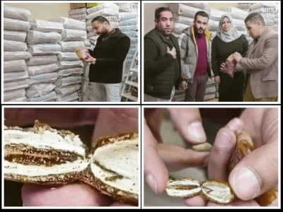 صحة القليوبية 