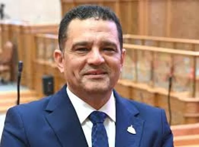 النائب أمير أحمد الجزار