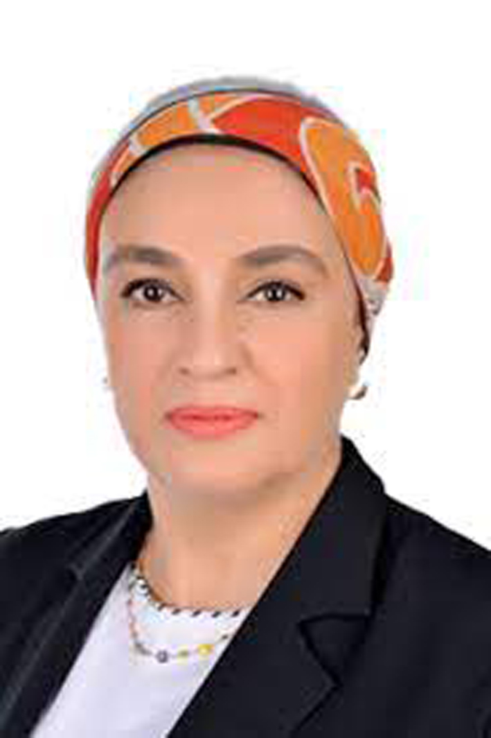 النائبة سميرة الجزار