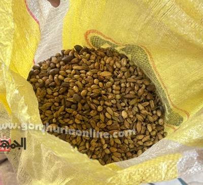 تموين المنوفية يضبط مصنع البن المغشوش