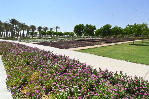 زراعة الاشجار