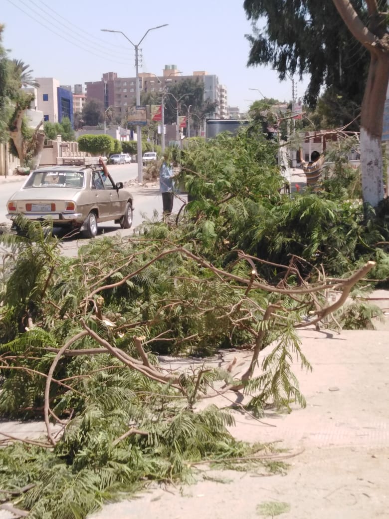 بني سويف تواصل جهودها في مواجهة التعديات ورفع الإشغالات والتجميل