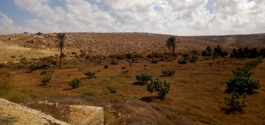 استعدادات مبكرة لاستقبال موسم الشتاء ومواجهة السيول بمطروح