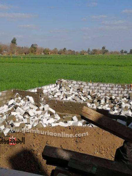 إزالة فورية لـ (12) حالة  تعدى على الأراضي الزراعية بالمنوفية