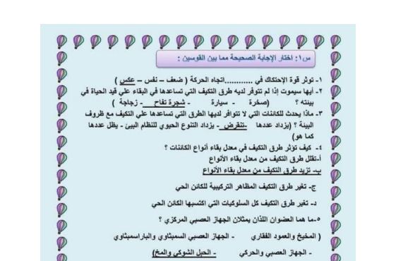 مراجعة نهائية