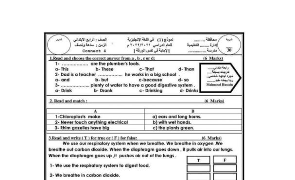 مراجعة نهائية