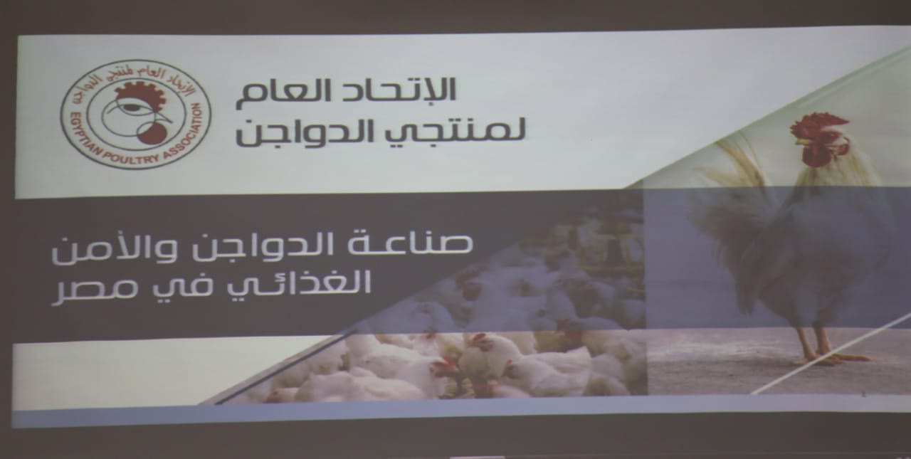 First slide