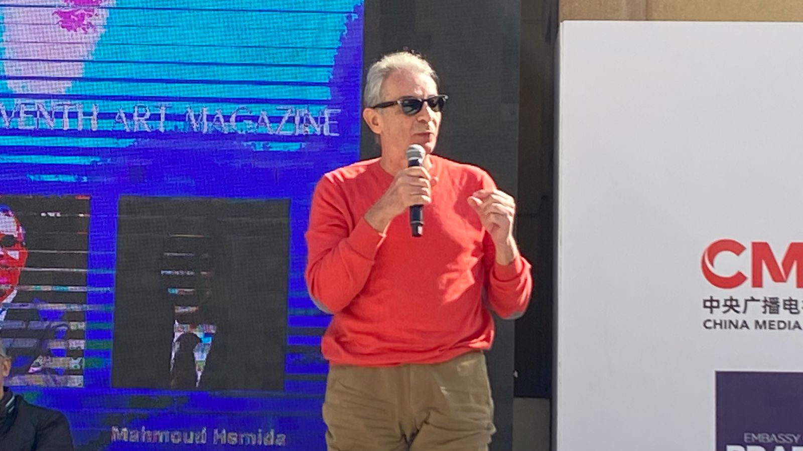 محمود حميدة 